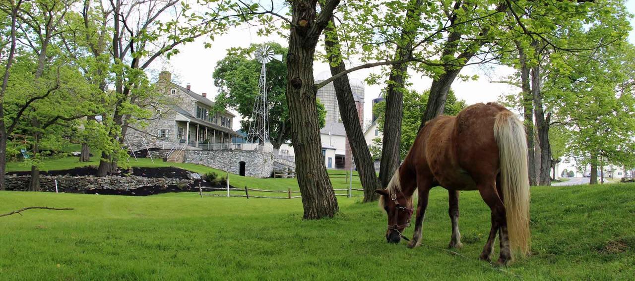 Rocky Acre Farm Bed & Breakfast Mount Joy Eksteriør billede